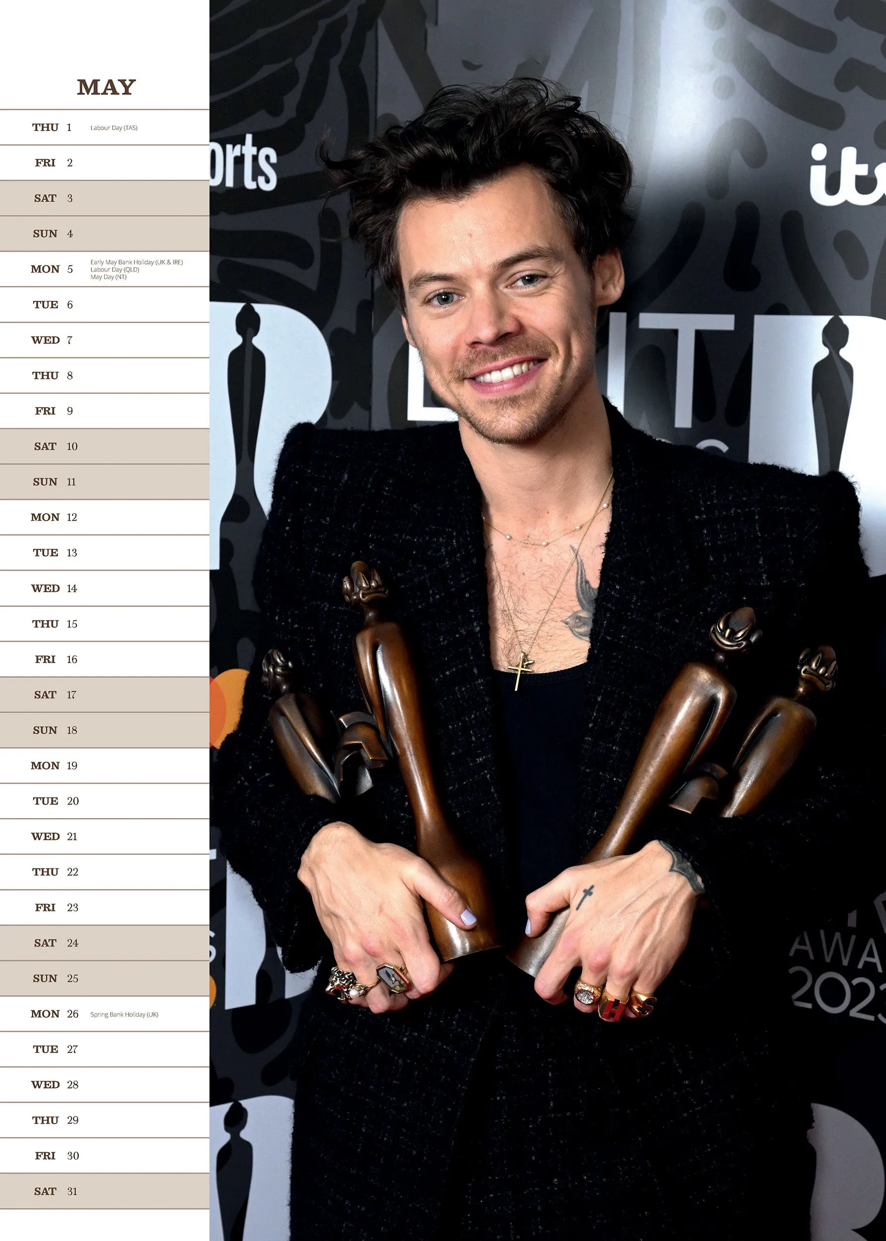 2025 Harry Styles Large Wall Calendar