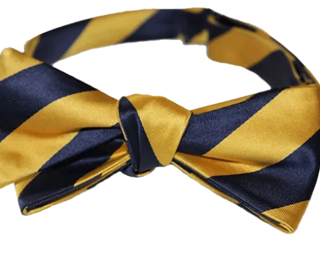 Classic Stripe - Gold/Navy