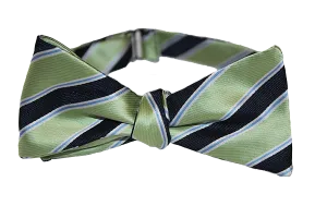 Classic Stripe - Light Green/Navy