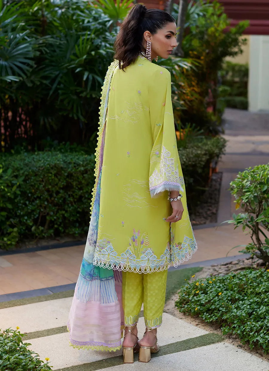 Farah Talib Aziz Suay Luxury Lawn Collection – Kelaya Kiwi