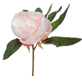 Faux Small Pink Peony Flower