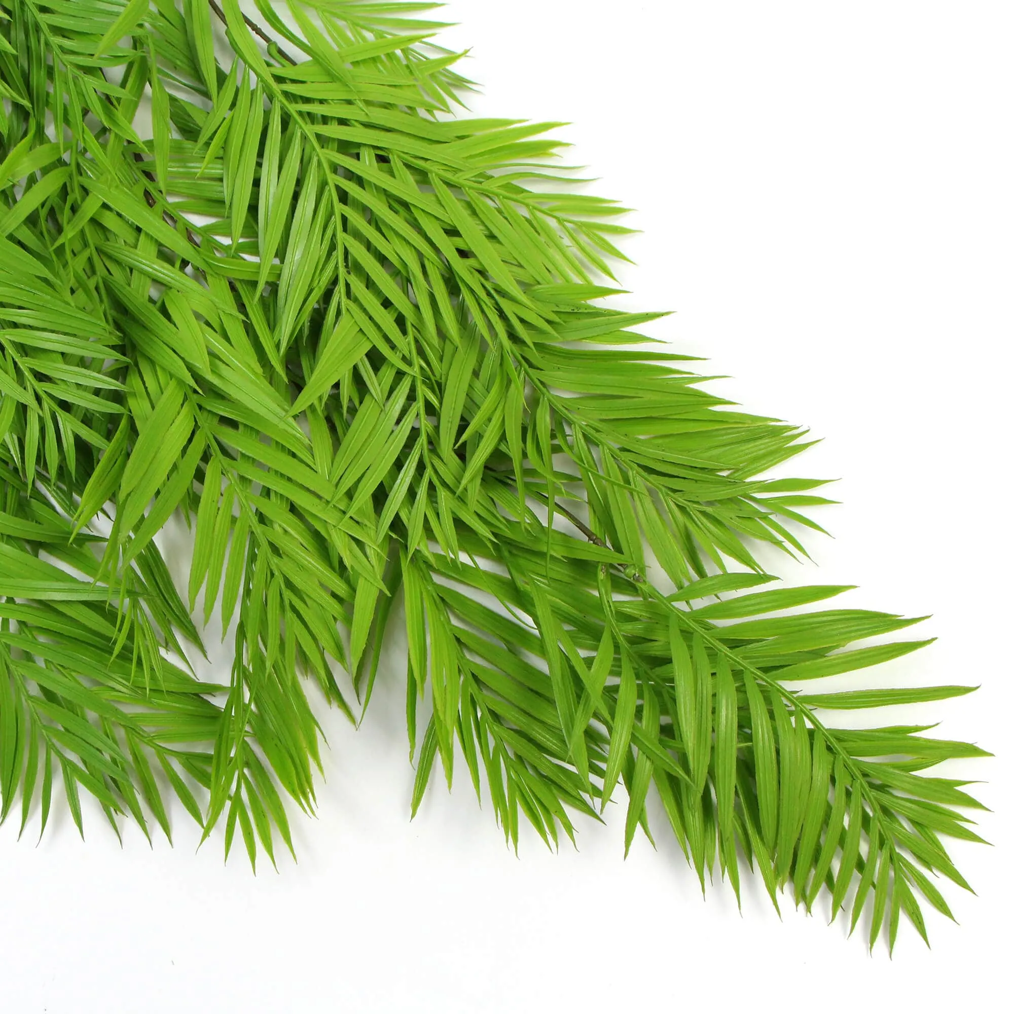Hanging Fresh Green Artificial Bamboo Bush UV Resistant 85cm