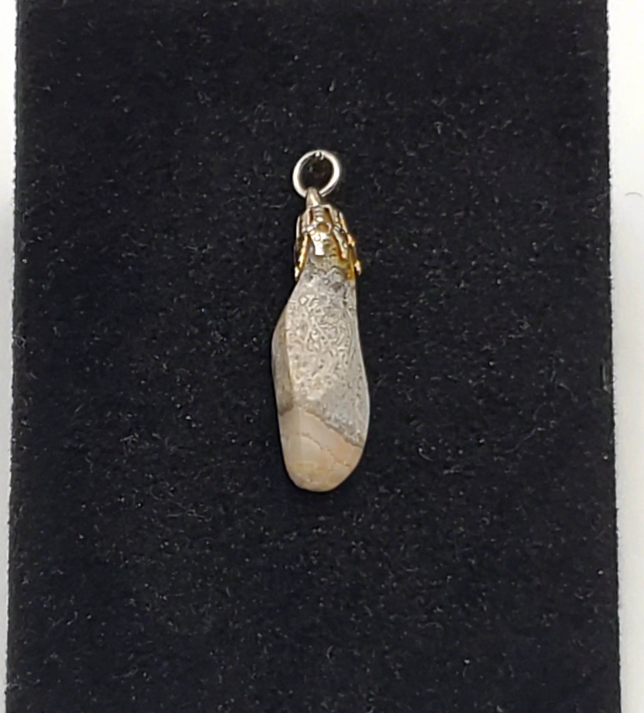 Tumbled Crazy Lace Jasper Pendant